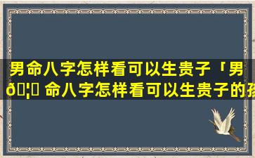 男命八字怎样看可以生贵子「男 🦊 命八字怎样看可以生贵子的孩子 🐘 」